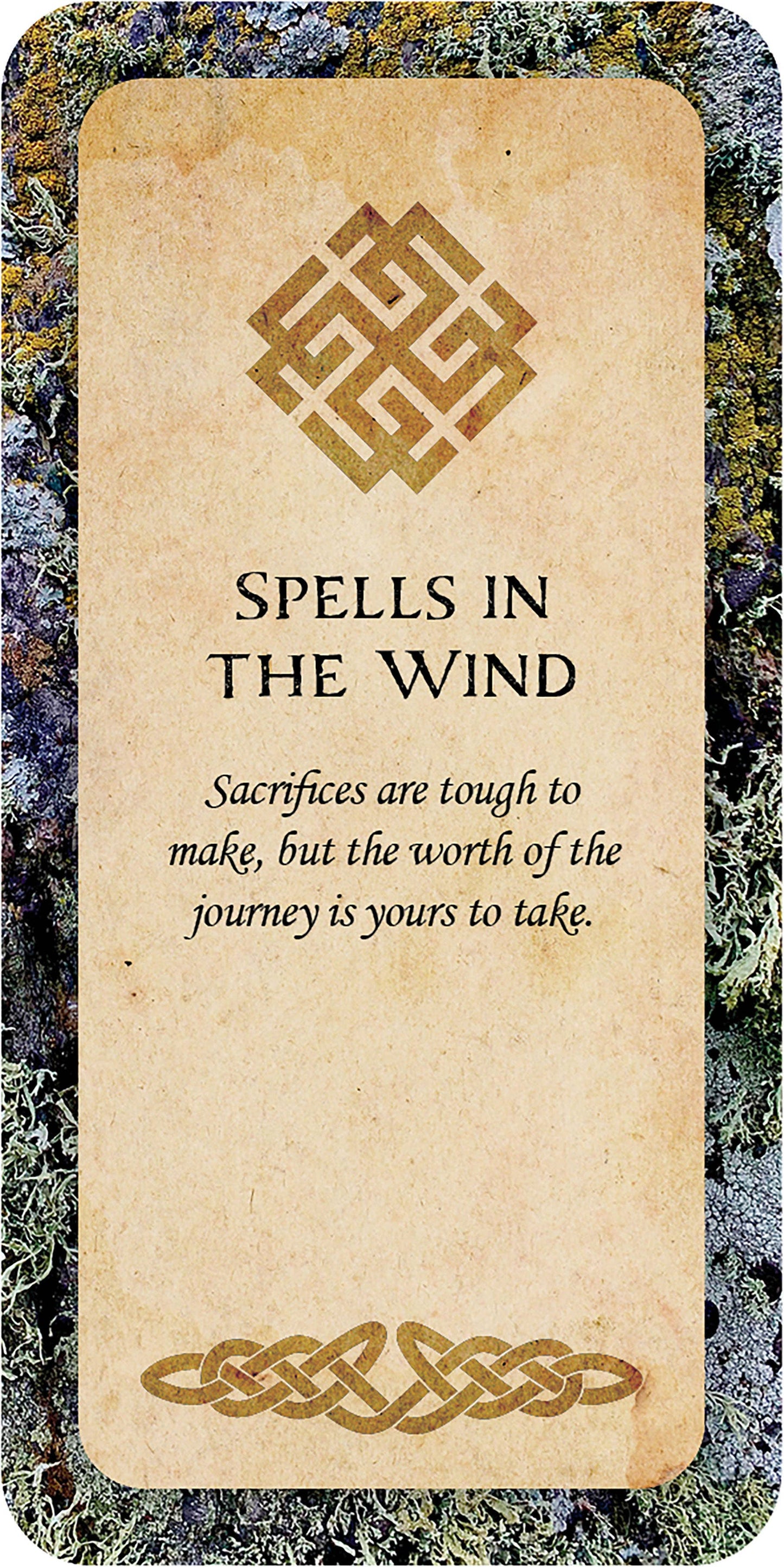 Druid Wisdom